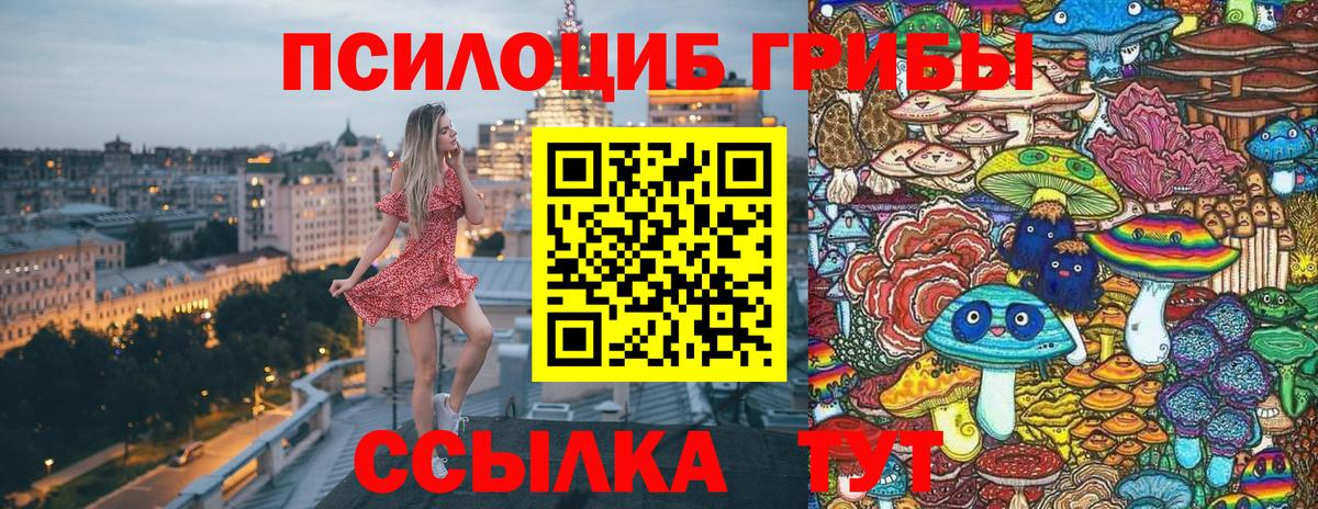 Галлюциногенные грибы Psilocybine cubensis  где найти   Вход с VPN  Саров  Псилоцибиновые грибы прущие грибы 